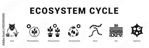 Ecosystem Cycle Modern and clean web banner illustration featuring thematic icons for visual communication