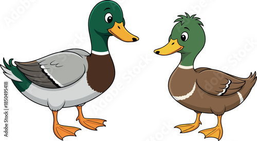 Happy Cartoon Mallard Ducks Standing Together, Male and Female Farm Birds with Green Heads and Brown Bodies Vector Illustration for Wildlife.