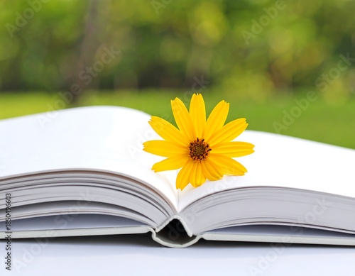 An open book rests on a white surface, a bright yellow flower delicately placed on its pages, with a blurred green backdrop