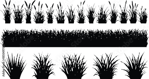 Grass Silhouette Vector Set, Diverse Foliage, Meadow, Wild Plants, Lawn Elements, Nature Design, Ecology, Black Graphics, Decoration Borde