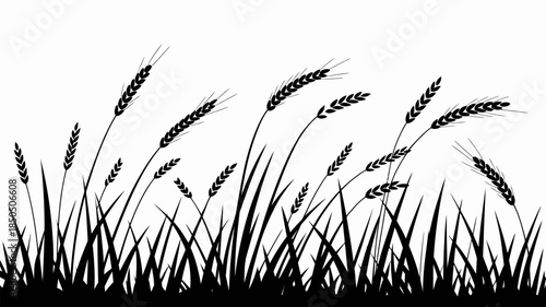 Silhouette of wheat and grass field against white background in monochrome style minimal nature agriculture illustration isolated rural landscape design concept art farming botanical graphic