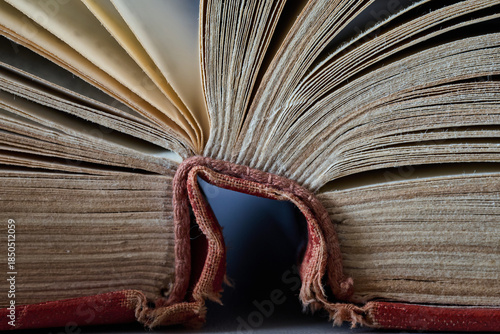 Open book shows detailed pages and worn spine