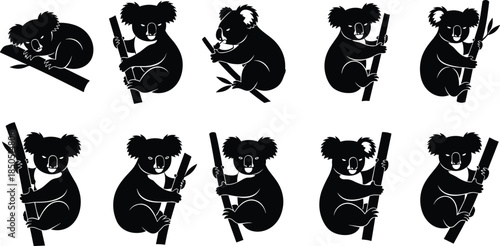Collection of black silhouette koalas clinging to bamboo branches white animal