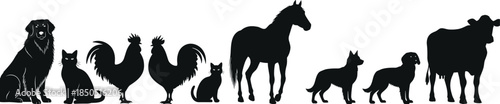 Black animal silhouettes showing size comparison of common farm and domestic animals isolated on white background for educational design use