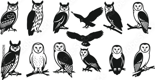 Black owl silhouette collection showing perched and flying nocturnal birds, wildlife illustration set for nature, education, and design use