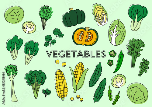 野菜の手描きイラストセット