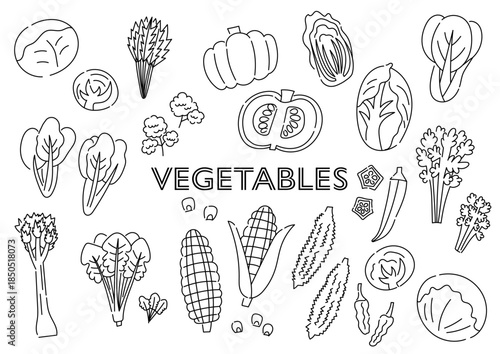 白黒の野菜の手描きイラストセット
