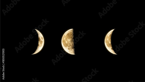 Phases of the Moon displayed in a sequence against a dark background