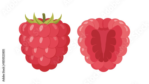 Illustration of a whole and halved raspberry against a clean white background with vibrant colors.