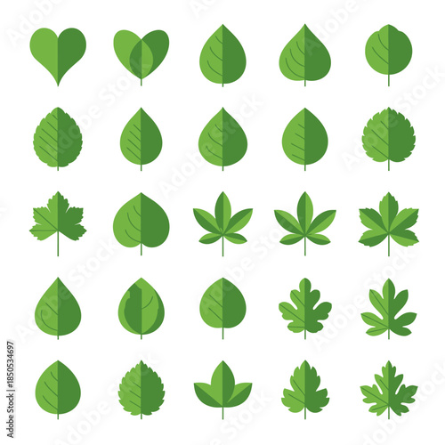 Collection of Green Leaf Illustrations in Various Shapes and Styles 1.