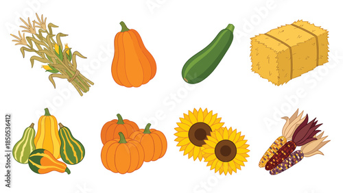Autumn Harvest Collection Pumpkins Gourds Corn Zucchini and Hay Bale Vector Illustration