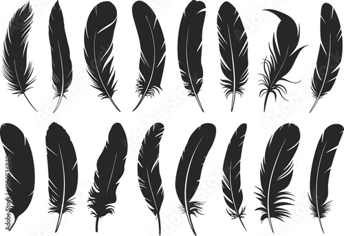 Black feather silhouettes, bird plumage shapes, elegant vector elements, nature-inspired design, decorative feather icons for tattoo, boho, tribal, and artistic themes