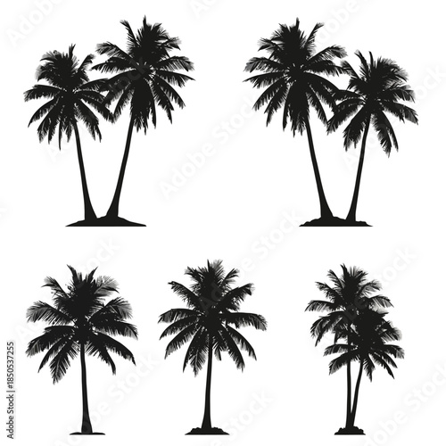 Silhouette Palm Trees Tropical Paradise Vector Graphics.