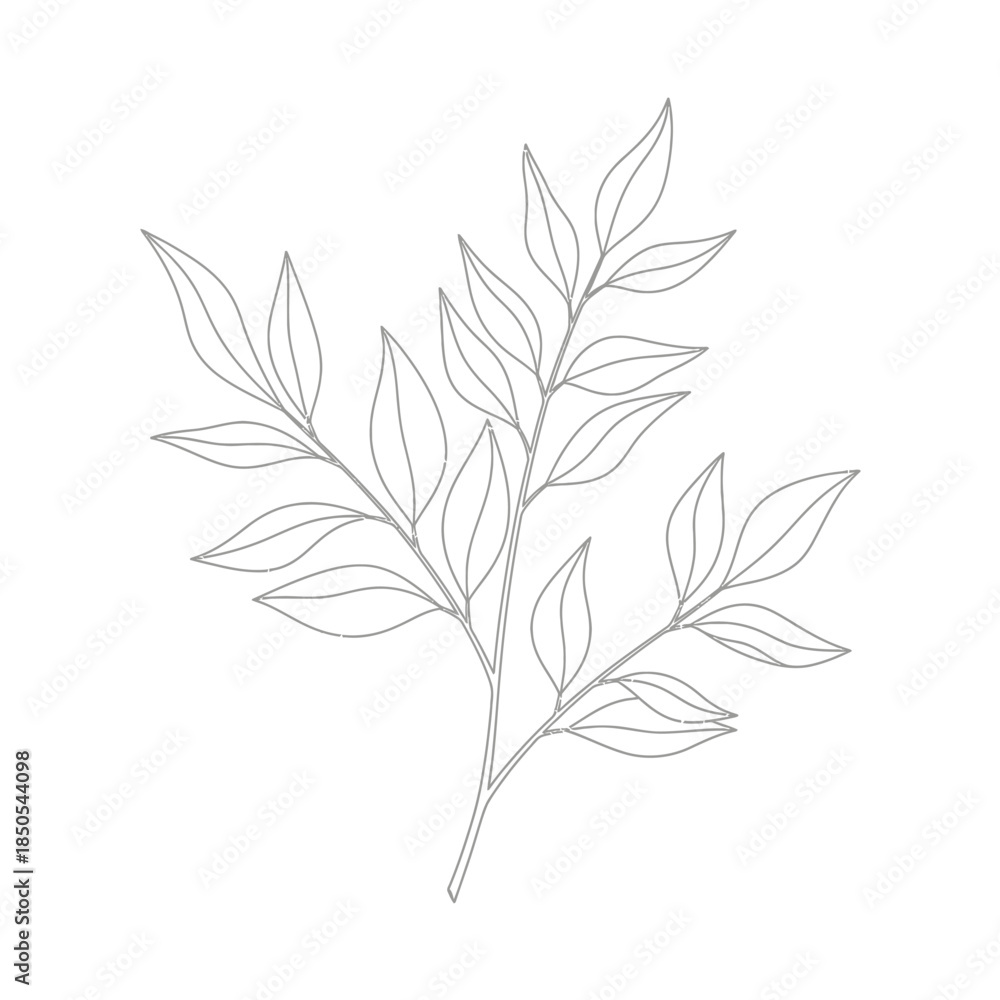 Naklejka premium Delicate Branch with Elongated Leaves in Minimalist Line Art.