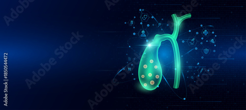 Health care medical. Human gallbladder organ hologram transparent in the ring line with icon digital medical technology. On dark blue background. Science banner vector.