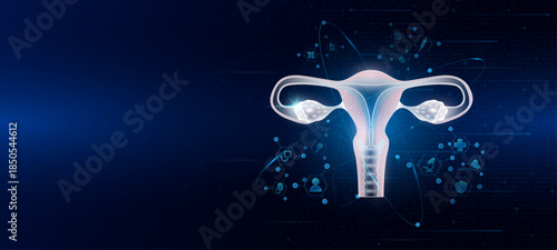 Health care medical. Human uterus organ hologram transparent in the ring line with icon digital medical technology. On dark blue background. Science banner vector.