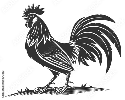 Rooster Silhouette Vector Clipart Chicken Cock Bird Illustration Line Art