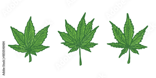 Set of hand drawn cannabis leaf Medicine marijuana Hemp leaves clipart in doodle style Single element for print, web, design, decor