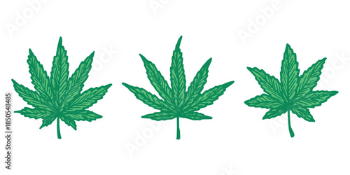 Set of hand drawn cannabis leaf Medicine marijuana Hemp leaves clipart in doodle style Single element for print, web, design, decor