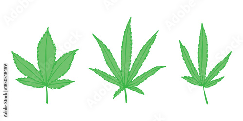 Set of hand drawn cannabis leaf Medicine marijuana Hemp leaves clipart in doodle style Single element for print, web, design, decor