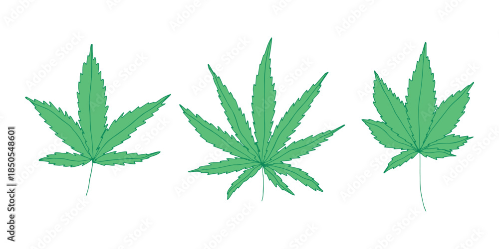 Fototapeta premium Set of hand drawn cannabis leaf Medicine marijuana Hemp leaves clipart in doodle style Single element for print, web, design, decor