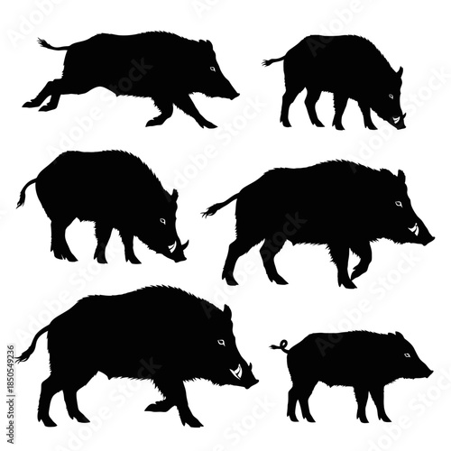 Wild Boar Silhouettes A Collection of Dynamic Poses and Forms.