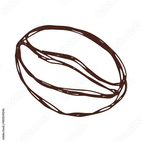 Hand drawn fresh roasted coffee bean Arabica robusta seed doodle Single element for print, web, design, decor