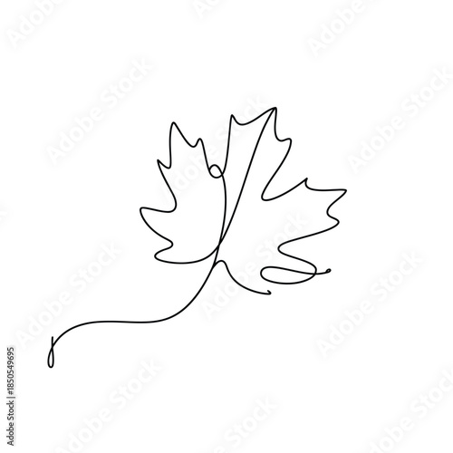 A delicate single line drawing of a maple leaf on a white background