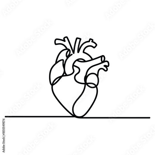 Minimalist line drawing of a human heart with anatomical detail
