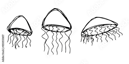 Set of hand drawn jellyfish doodle Sea animal illustration Cute marine underwater creature Medusa sketch clipart Single element for web, design, decor, children's print