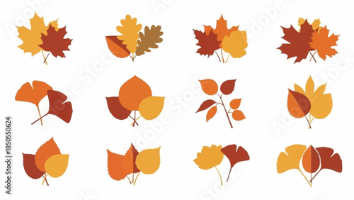 Collection of Autumn Leaves in Various Shapes and Colors.