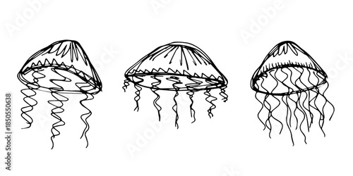Set of hand drawn jellyfish doodle Sea animal illustration Cute marine underwater creature Medusa sketch clipart Single element for web, design, decor, children's print