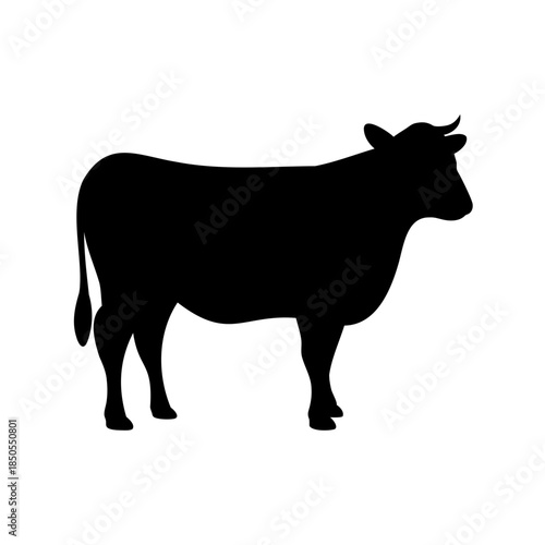 Silhouette of a cow standing on white background viewed from side