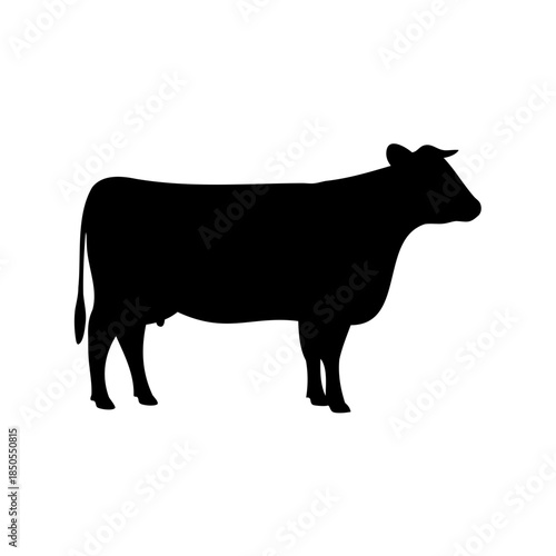 Silhouette of a bull or cow standing on a white background plain