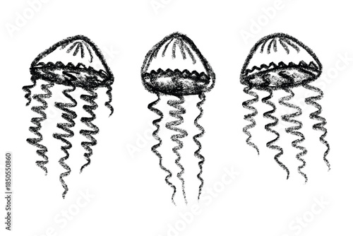 Set of hand drawn jellyfish doodle Sea animal illustration Cute marine underwater creature Medusa sketch clipart Single element for web, design, decor, children's print