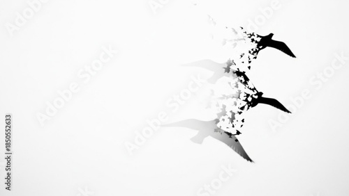 Dissolving Birds Flying in Abstract Black and White, symbolizing freedom and change
