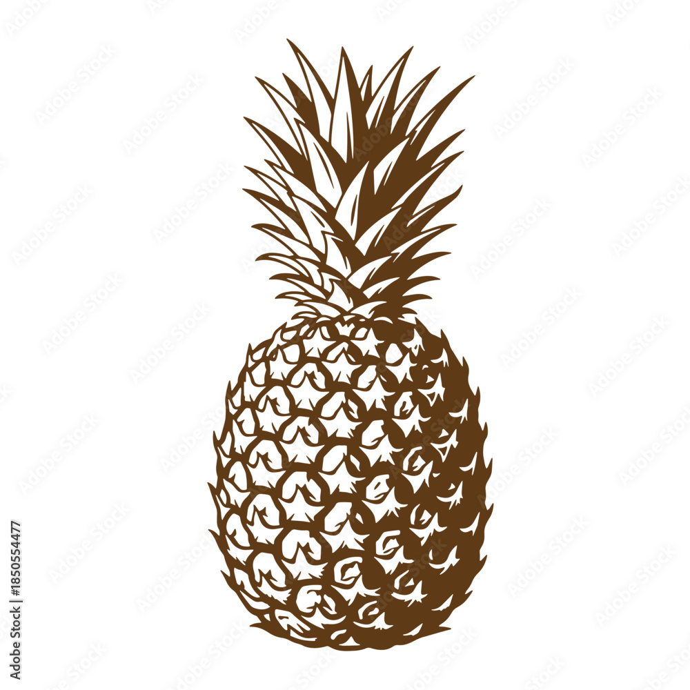 Obraz premium Detailed brown pineapple vector illustration isolated on white background for design projects
