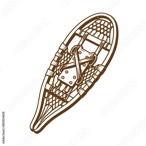 Detailed brown sketch illustration of a snowshoe isolated on a white background