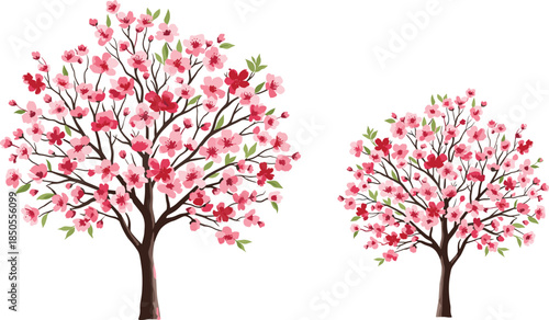 Beautiful and vibrant cherry blossom trees with pink and red flowers, watercolor-style spring floral vector illustration on white background, perfect for banners and design.