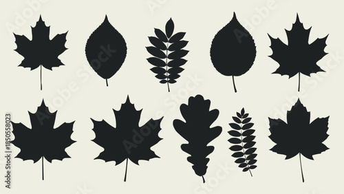 Collection of Black Leaf Silhouettes Various Shapes and Sizes.