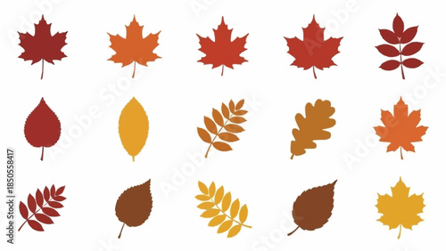 Collection of Autumn Leaves in Various Colors and Shapes.