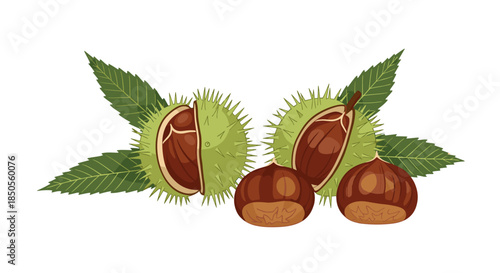 Group of brown chestnuts is shown both in and out of their prickly green husks with several large green leaves in the background.