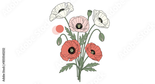 Beautiful bouquet of white, pink, and red poppy flowers with green stems and buds in a delicate hand-drawn style.