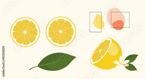 Fresh yellow lemon slices, a half fruit with blossoms, and a green leaf arranged as decorative culinary elements.