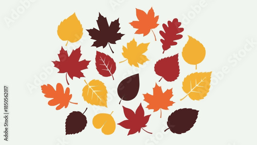 Collection of Autumn Leaves in Various Colors and Shapes.