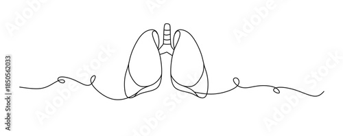 Continuous lines of human internal organs such as heart, spleen, lungs, stomach, brain, intestines, kidneys and liver in line style.