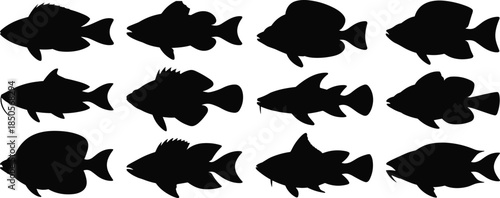 Fish silhouette icons, black vector aquatic animals, marine species set, underwater wildlife, fin shapes, ocean life, isolated