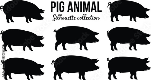 Pig silhouettes, animal icons, farm design, livestock clipart, black graphic, vector illustration, pig shape comparison, cute pig art