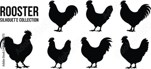 Rooster silhouettes, black vector icons, farm animal, poultry clipart, bird shapes, rural design, chicken bundle, silhouette set, tail feather, comb variation, livestock graphic, barnyard creature,