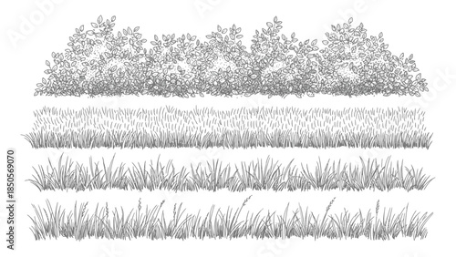 Set of black and white hand-drawn grass and bush illustrations for design